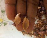 A picture of step 5 of Oven Fried groundnuts.