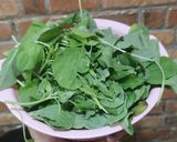 Foto langkah ke 1 dari resep Sayur Bening Bayam.
