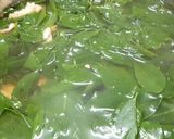 Hình bước làm 1 của món Canh rau ngót nấu thịt băm