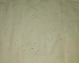 Foto del paso 1 de la receta: Tarta de hojaldre con cítricos