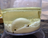 Foto del paso 1 de la receta: Alioli sin huevo