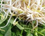 Foto langkah ke 1 dari resep Tumis Kangkung Tauge Saus Tiram.