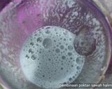 Foto langkah ke 1 dari resep Mpek mpek.
