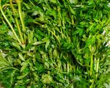 Foto langkah ke 1 dari resep Tumis Daun Kenikir Teri.