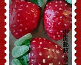 A picture of step 10 of Amy's Little Strawberry Sponge Cakes ..