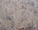 Foto del paso 6 de la receta: Rollitos de Canela (cinnamon rolls)