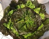 Une image de l'étape 7 de Laitue rougette aux petits oignons blancs et herbes aromatiques.