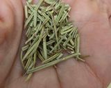 Foto del paso 2 de la receta: Infusión de cardo mariano con romero y limón 🫖