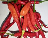 Foto langkah ke 4 dari resep Sambel Udang & Kentang.