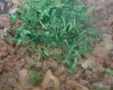 صورة لخطوة 2 من وصفة موساكا moussaka