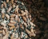 दाल मखनी (Dal makhani recipe in Hindi) रेसिपी चरण 1 फोटो