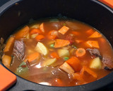 Foto del paso 4 de la receta: Guisado de ternera para niños en puré