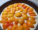 Kevert sárgabarackos sütemény (vegán) recept fázis 3 fotója