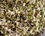 A picture of step 1 of Sprouted Moong.