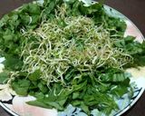 Foto del paso 12 de la receta: Brotes de fenogreco
