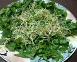 Foto del paso 12 de la receta: Brotes de fenogreco