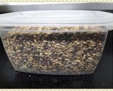 A picture of step 5 of Homemade Multiseed Mukhwas.