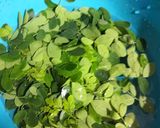 शेवग्याच्या पानाचा चिला (shevgyachya panacha chilla recipe in marathi) रेसिपी स्टेप 1 फोटो 