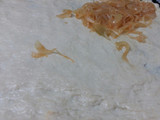 Coca con cebolla caramelizada y sobrasada