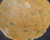A picture of step 3 of Methi Thepla.