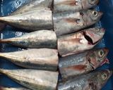 Foto langkah ke 1 dari resep Abon ikan.