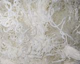 Foto langkah ke 3 dari resep Ongol Ongol Bihun.