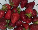 Foto del passaggio 1 della ricetta Misto di frutta colorata