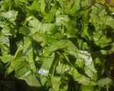 A picture of step 4 of Aloo Palak Matar Sabzi.