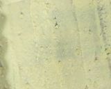 A picture of step 8 of Khandvi.