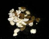 A picture of step 5 of Layered Biryani.