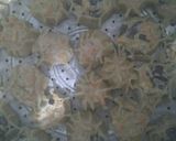 Foto langkah ke 10 dari resep Dimsum Ayam.