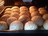 بريوش