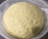 Foto del paso 2 de la receta: Pan Dulce 🎄🎅🏻✨