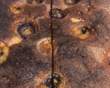 Foto del paso 7 de la receta: Torta-Sorpresa dulce de melocotón y uvas