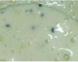 A picture of step 10 of Three layered Ice cream.