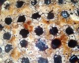 A picture of step 15 of American Style Marble Cake.