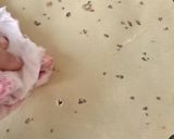 A picture of step 4 of Papad roll.