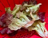 Une image de l'étape 1 de Farfalle sur feuilles de Chêne rouge.
