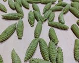 Foto del passaggio 6 della ricetta Impasto per pasta fresca con foglie di broccolo