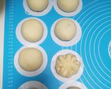Foto langkah ke 8 dari resep Bakpao.