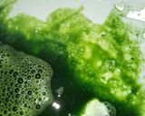 Foto langkah ke 2 dari resep Cendol Dawet Homemade.