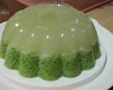 Foto langkah ke 6 dari resep Puding lumut pandan (TIDAK AMIS & mudah bgt).