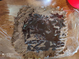 Tronco de castaña