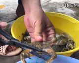 Hình bước làm 1 của món Ghẹ Rang Me