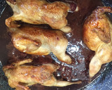 Foto del paso 7 de la receta: Codornices en salsa de vino tinto con chocolate