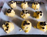 Foto langkah ke 8 dari resep Coco chips 🍪 cookies renyah.