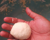 Foto del paso 4 de la receta: Gorditas de harina