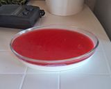 Foto del paso 9 de la receta: Postre de maicena con gelatina