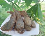 Foto langkah ke 4 dari resep 148. Lele Goreng Krispy.