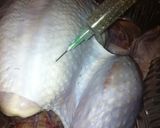 Foto del paso 10 de la receta: Pavo relleno